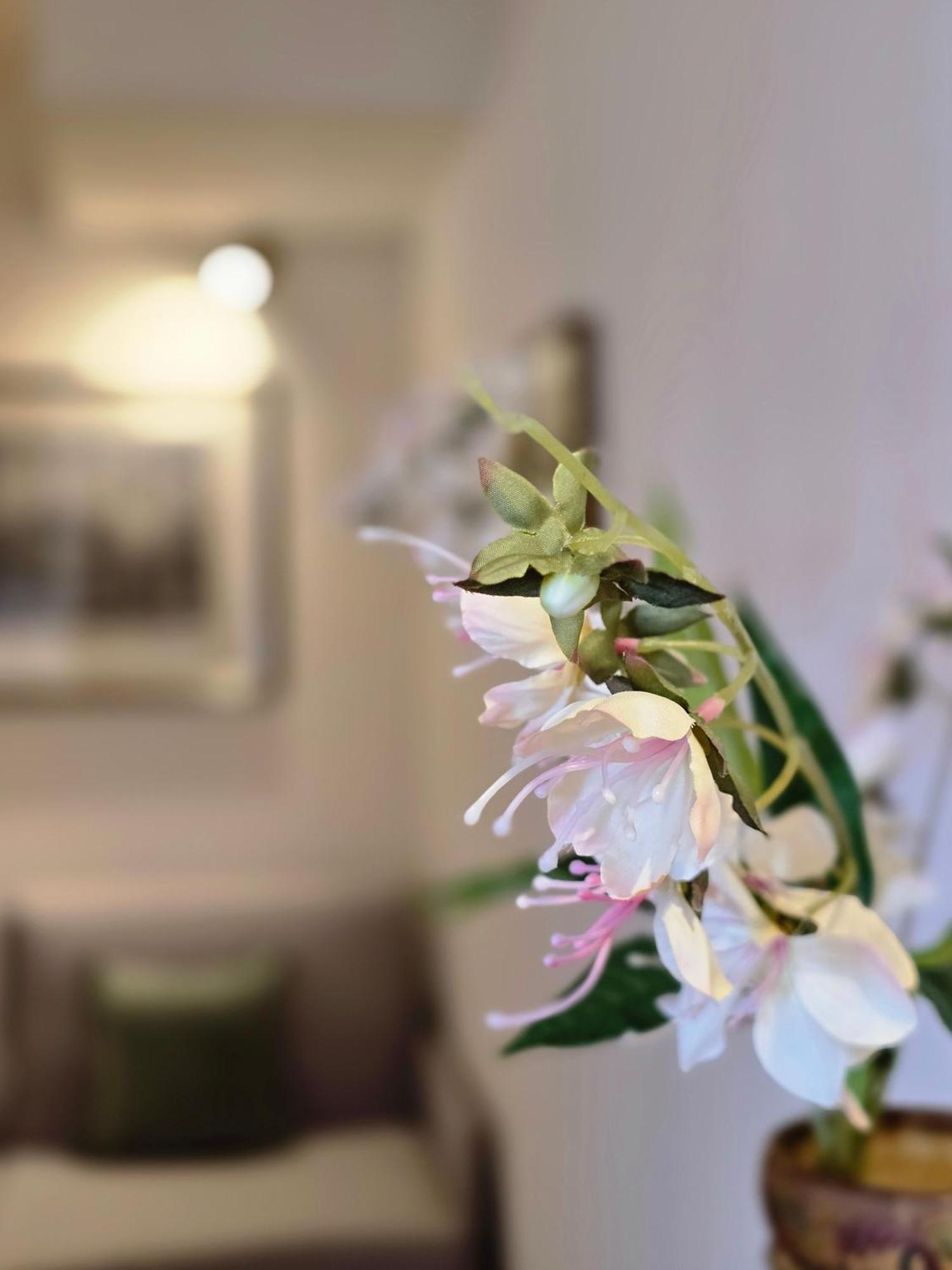 Residence Internazionale Pietrasanta Zewnętrze zdjęcie
